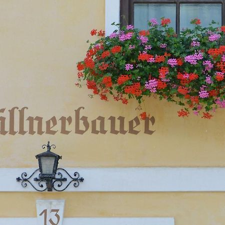 Muellnerbauer Apartment Napplach Exterior foto